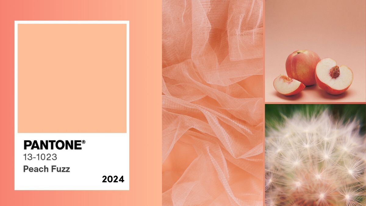 Peach Fuzz - Màu sắc của năm 2024